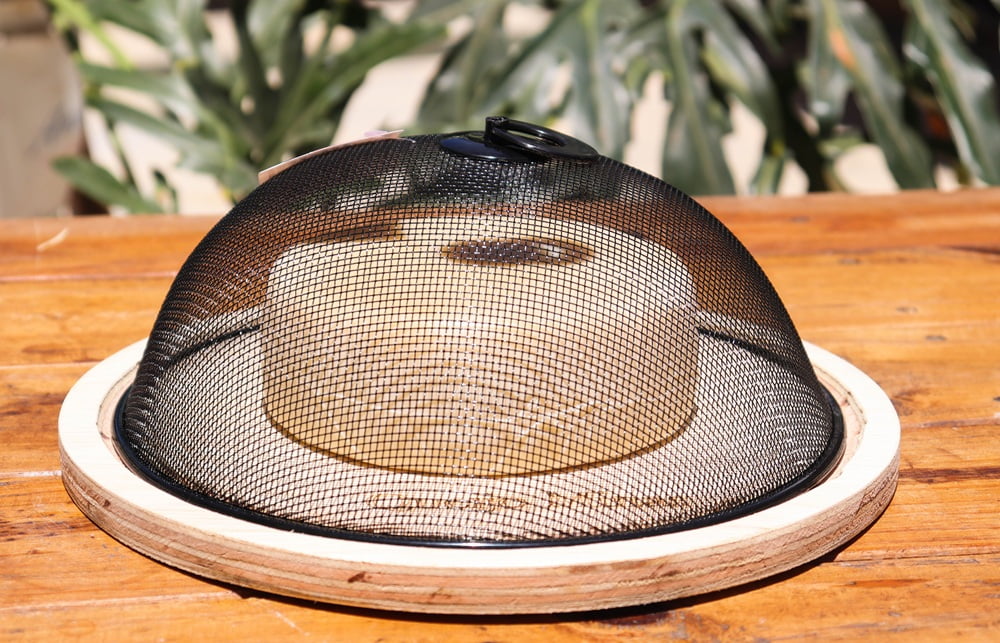 MATURADOR PARA 1 QUEIJO COM TAMPA DE TELA 