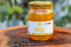 COMPOTA DE LARANJA DA TERRA ARTESANAL MISTURA MELADA 320G