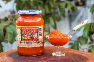 DOCE DE ABÓBORA COM COCO ISAMEL 600G