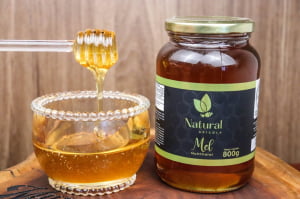 MEL PURO FLORADA SILVESTRE VIDRO 800G