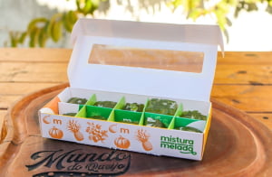 FRUTAS CRISTALIZADAS ARTESANAIS - MAMAO BORDADO 200GR
