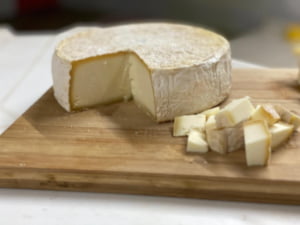 QUEIJO MOFADO DA CANASTRA PEDACIN DA SERRA 1KG - EDIÇÃO LIMITADA