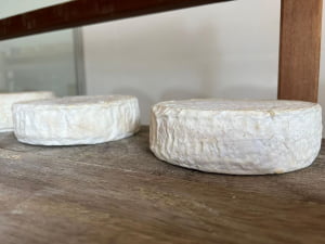 QUEIJO MOFADO DA CANASTRA PEDACIN DA SERRA 1KG - EDIÇÃO LIMITADA