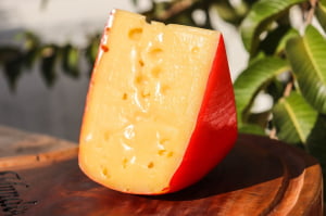 QUEIJO GOUDA NOVA ALEMANHA DO RIO GRANDE DO SUL 500G