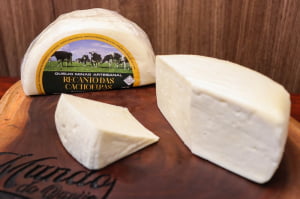 QUEIJO FRESCO DO SERRO MEIA PEÇA 450G
