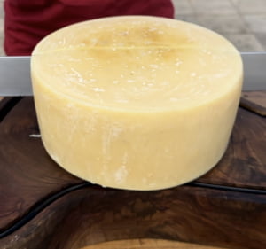 QUEIJO PARMESÃO MARANATA BRONZE PEÇA INTEIRA 100 DIAS 5KG