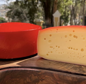 QUEIJO GOUDA POSSAMAI 500G