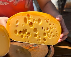 QUEIJO MAASDAM NOVA ALEMANHA MEIA PEÇA 2KG