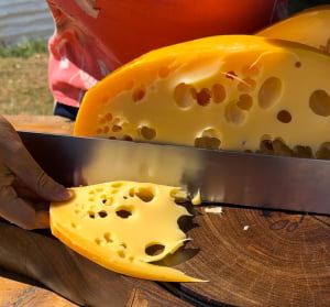 QUEIJO MAASDAM NOVA ALEMANHA MEIA PEÇA 2KG